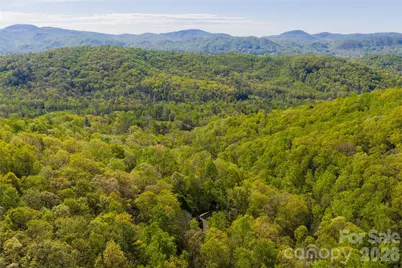 36 Snowshoe Drive, Asheville, NC 28803 - Photo 42