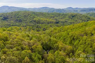 36 Snowshoe Dr, Asheville, NC 28803 - Photo 42