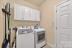 16725 Hammock Creek Pl, Charlotte, NC 28278 - Photo 18