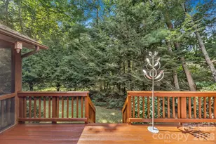 31 Hillcreek Dr, Asheville, NC 28804 - Photo 34
