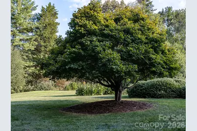 13 Lowry Lane, Weaverville, NC 28787 - Photo 44