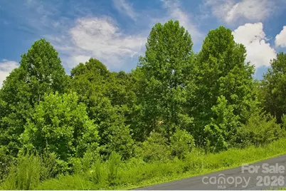 0 Clearwater Parkway #238, Rutherfordton, NC 28139 - Photo 4