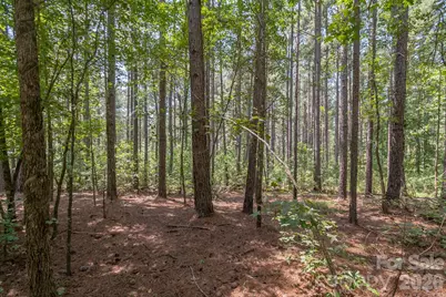 0 Riverbluff Lane, Lilesville, NC 28091 - Photo 26