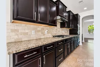 151 Blossom Ridge Drive, Mooresville, NC 28117 - Photo 10