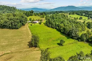 427 Big Brush Creek Rd, Green Mountain, NC 28740 - Photo 38