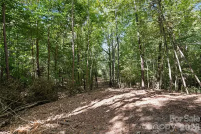 630 Turkey Creek Ridge Road, York, SC 29745 - Photo 46