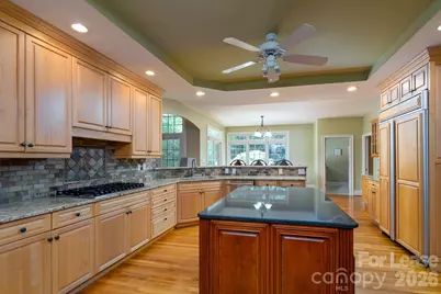 9533 Millen Drive, Harrisburg, NC 28075 - Photo 16