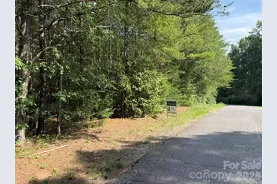 Tbd Agnes Douglas Road, Indian Land, SC 29707 - Photo 1