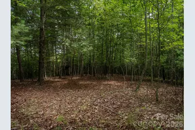 0 Hebron Road, Hendersonville, NC 28792 - Photo 4
