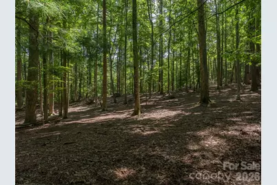 0 Hebron Road, Hendersonville, NC 28792 - Photo 18