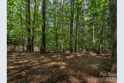 0 Hebron Road, Hendersonville, NC 28792 - Photo 20