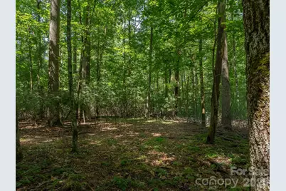 0 Hebron Road, Hendersonville, NC 28792 - Photo 10