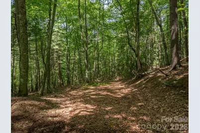0 Hebron Road, Hendersonville, NC 28792 - Photo 16