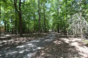 7015 Spruce Pine Trail, Waxhaw, NC 28173 - Photo 4