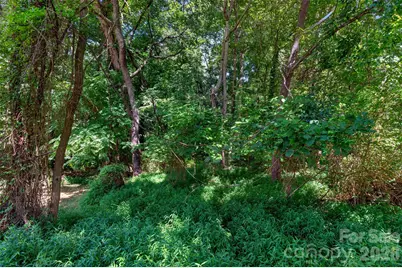 21 Maple Avenue, Candler, NC 28715 - Photo 4