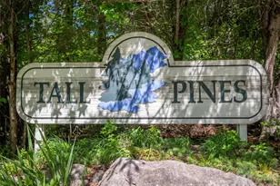 23 Tall Pines Rd, Hendersonville, NC 28739 - Photo 34