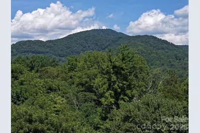 43 Thoren Court, Clyde, NC 28721 - Photo 28