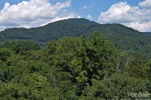 43 Thoren Ct, Clyde, NC 28721 - Photo 28