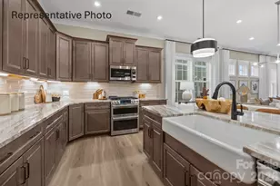 445 Pitch Pne St, Fort Mill, SC 29715 - Photo 4