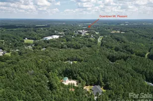 997 S Skyland Dr, Mount Pleasant, NC 28124 - Photo 48