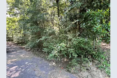 215 Factory Street, Biscoe, NC 27209 - Photo 14