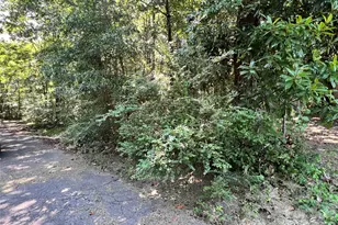 215 Factory St, Biscoe, NC 27209 - Photo 14