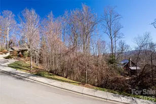 15 La Grange Dr, Asheville, NC 28805 - Photo 10