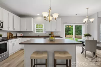 1001 Yellow Daisy Drive, Matthews, NC 28104 - Photo 12