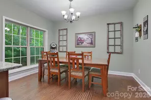 62 Pne Hl Dr, Brevard, NC 28712 - Photo 14