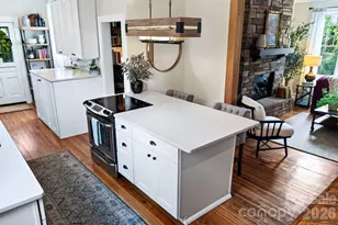 46 E Chestnut St, Asheville, NC 28801 - Photo 24