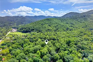 22 Woodbend Ln, Black Mountain, NC 28711 - Photo 46