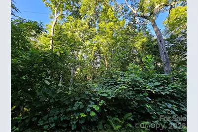 102 Big Ridge Road #102, Burnsville, NC 28714 - Photo 10