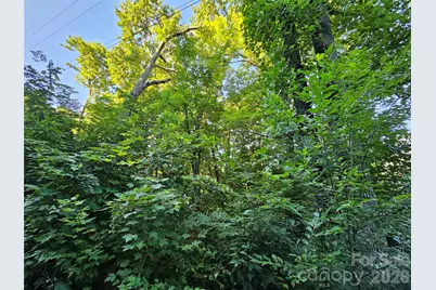 102 Big Ridge Road #102, Burnsville, NC 28714 - Photo 14