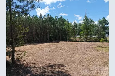 0 Cassels Road, Chester, SC 29706 - Photo 8