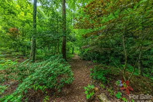 33 Robinson Creek Rd, Asheville, NC 28803 - Photo 30