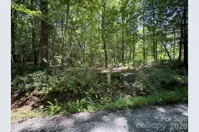 Tbd Blossom Road, Brevard, NC 28712 - Photo 8