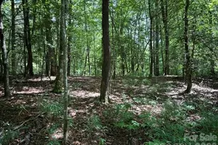Tbd Blossom Rd, Brevard, NC 28712 - Photo 1