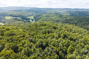 383 Bear Ridge Trail, Fleetwood, NC 28626 - Photo 46