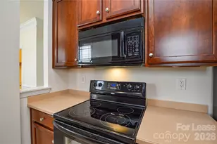 9020 Ladys Secret Dr, Indian Trail, NC 28079 - Photo 4