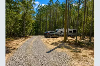 3203 Landfill Road, Mount Croghan, SC 29727 - Photo 10
