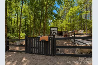 3203 Landfill Road, Mount Croghan, SC 29727 - Photo 38