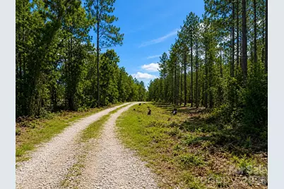 3203 Landfill Road, Mount Croghan, SC 29727 - Photo 8