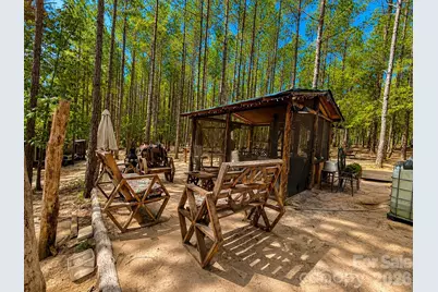 3203 Landfill Road, Mount Croghan, SC 29727 - Photo 42