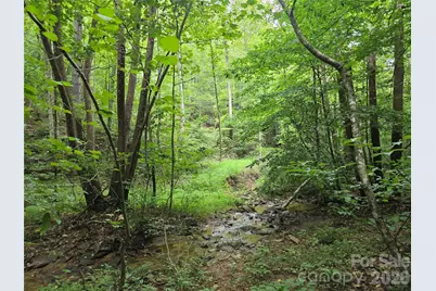 6059 Mount Zion Road, Ferguson, NC 28624 - Photo 4
