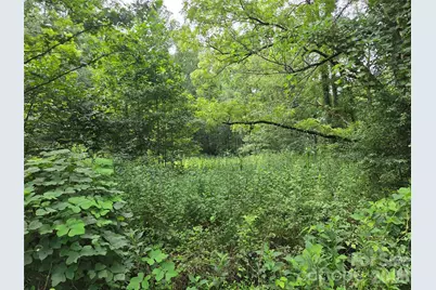 6059 Mount Zion Road, Ferguson, NC 28624 - Photo 16