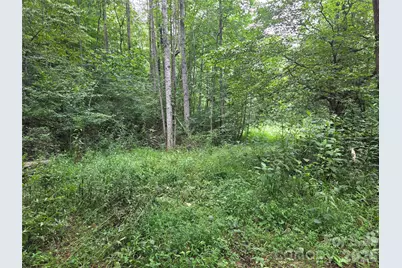 6059 Mount Zion Road, Ferguson, NC 28624 - Photo 26