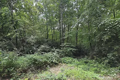 86 Pine Ridge Road, Hendersonville, NC 28792 - Photo 30