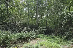 86 Pine Ridge Rd, Hendersonville, NC 28792 - Photo 30