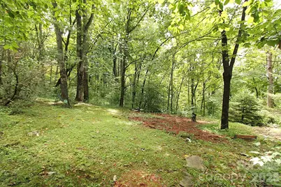 86 Pine Ridge Road, Hendersonville, NC 28792 - Photo 24