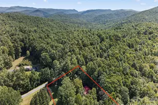 1900 Solomon Jones Rd, Cedar Mountain, NC 28718 - Photo 26